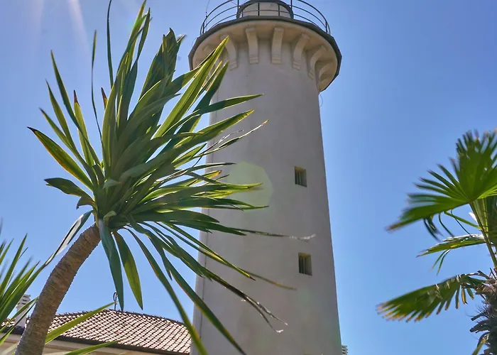 Bright With Swimming Pool And Solarium