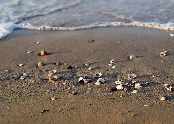 Bright With Swimming Pool And Solarium Bibione